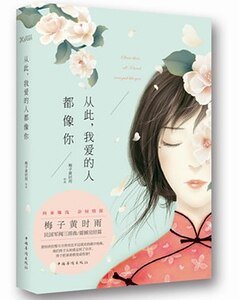 從此，我愛的人都像你-此愛成殤